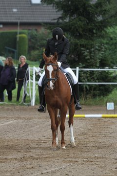 Bild 65 - WBO-Turnier am 18.9.11